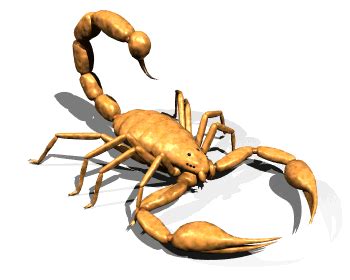 scorpion animated gif  gif image   wallpaper