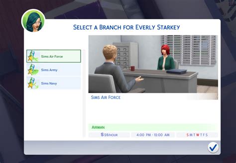 sims  install script mods mfasemedic