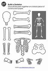 Skeleton Kostenlose Themen Ausdrucke Vorschul Bildung sketch template