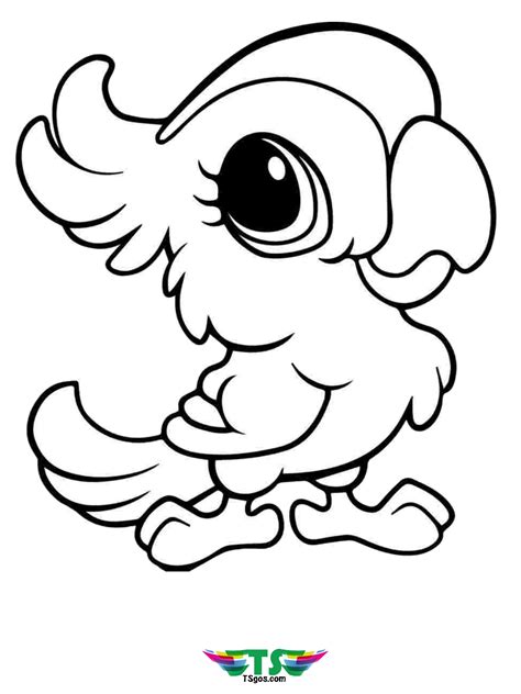 bird watching coloring pages coloring pages