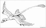 Microraptor Gliding Pages Coloring Qilong Color Dinosaur Printable Dinosaurs Deviantart Online Print Drawings Favourites Add 2005 Coloringpagesonly sketch template
