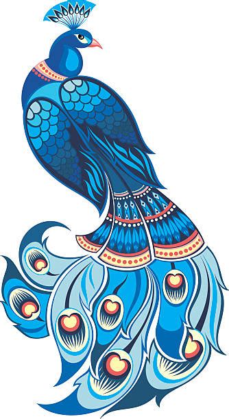 royalty free peacock clip art vector images and illustrations istock