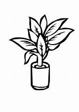 Plante Plant Coloriage Coloring Imprimer Dessin Zombie Plantes Colorier Dessiner Dessins Vs 25kb 800px sketch template