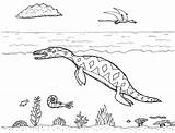 Pliosaur Rhomaleosaurus sketch template