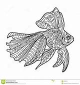 Coloring Fish Adults Book Adult Vector Gold Pages Stress Anti Illustration Colouring Zentangle Detailed Sheets Books Preview Stock Dreamstime Lines sketch template