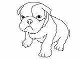 Coloring Boxer Pages Puppy Cute sketch template