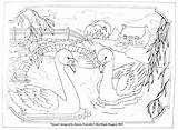 Swans Punch Hooking Needle Rug Pattern Request Something Order Custom Made Just sketch template