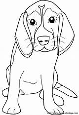 Beagle Chien Caccia Mediano Bigol Adulti Beagles Hund Cani Chiens Bernard sketch template