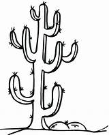 Cactus Coloring Kids Saguaro Pages Colouring Sheet Clipart Drawing Line Cliparts Printable Color Easy Getdrawings Simple Getcolorings Library Barrel Clip sketch template