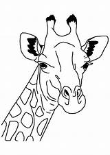 Girafa Giraffe Escolha Pasta sketch template