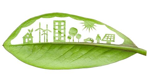 nachhaltiger konsum nachhaltige produktion