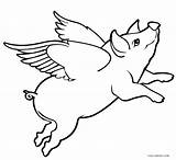 Pig Coloring Pages Flying Drawing Sketch Cute Pigs Baby Wings Fly Paintingvalley Silhouette Cool2bkids Getcolorings Guinea Printable sketch template