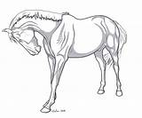 Horse Lineart Deviantart Shadows Cliparting Personal Works Projects These sketch template