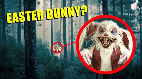 drone catches easter bunny  haunted woods     youtube