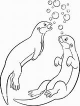 Otter Otters Swim Illustrations Getdrawings sketch template