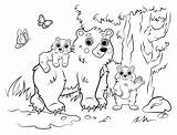 Coloring Family Pages Bear Cute Cartoon Animal Animals Forest Printable Cubs Outline Mom Kids Families Vector Book Background Her 30seconds sketch template