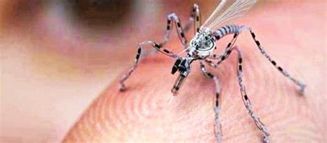 insects drones cyborgs  conservation nano drones drone spy drone