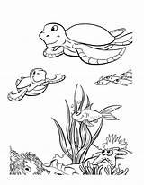 Coloring Pages Turtle Sea Ocean Printable Kids Animal Floor Drawing Ecosystem Baby Habitat Animals Turtles Color Getdrawings Print Rocks Getcolorings sketch template