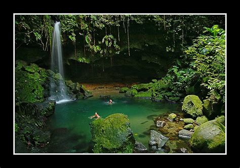 The Nature Island Dominica Screws Sulphur Springs