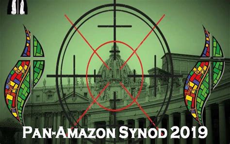 amazon synod    africans  africa based participants