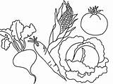 Vegetable Coloring Pages Printable Kids sketch template