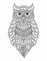 Eule Eulen Ausmalen Zeichnen Erwachsene Tier Ornamente Tattoo Madalas Viele Colouring Búhos Schulen Kostenlosen sketch template
