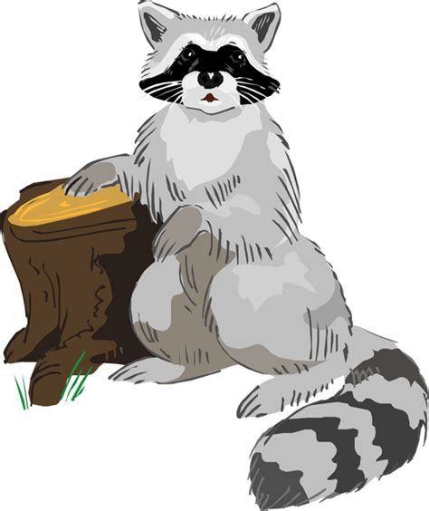 raccoon svg files  scrapbooking camping svgs cute svg cuts clip art