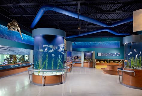 south florida science center  aquarium palm beach wheretraveler