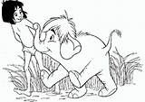 Dschungelbuch Mowgli Malvorlage Ausmalen Haathi Coloringpagesfortoddlers Planse Colorat Mogli Tercero Selva Libro sketch template