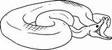 Anaconda Snake Dangerous Coloringsky sketch template