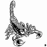 Scorpion Tribal Tattoo Designs Tattoos sketch template