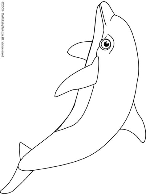 dolphin coloring page  audio stories  kids  coloring pages