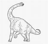 Brachiosaurus Jurassic Kindpng sketch template