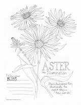 Aster Illumination sketch template