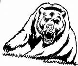 Growling Bear Mascot Decal Sticker Coloring Getdrawings Drawing Width Decals sketch template