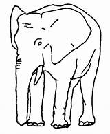 Elephant Coloring Pages Printable Kids Elephants Indian African Cartoon Animals Coloring4free Clipart Wild Drawings Print Cliparts Color Turkey Clip Library sketch template