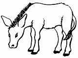 Untitled Donkey Coloring Pages sketch template