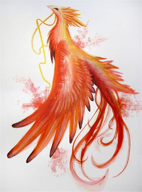 phoenix tattoo design phoenix drawing phoenix tattoo