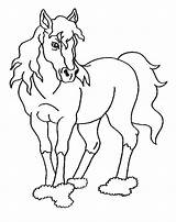 Colorat Desene Cu Cai Animale Planse Cal Pentru Horse Si Disney Choose Board Moose sketch template