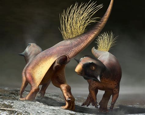 Scientists Finally Know How Dinosaurs Had Sex Rapid News