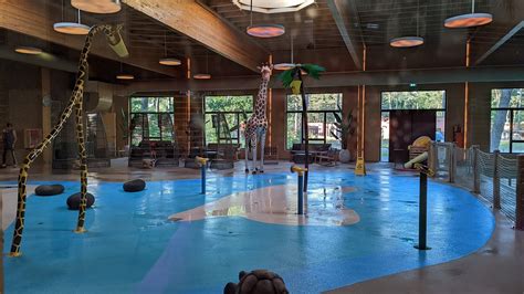 fotos en beoordelingen van het zwembad bij lake resort beekse bergen tripadvisor