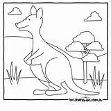 Australian Colouring Australien Outback Ausmalbilder Brisbanekids Playgroup Drawings Kangaroo Zoo sketch template