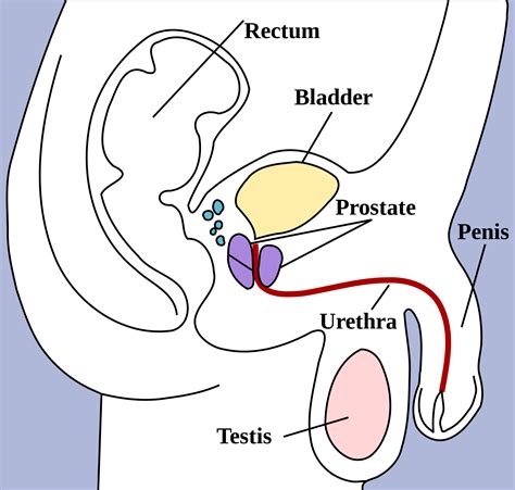 Where Are The Reproductive Health Resources For Every Body