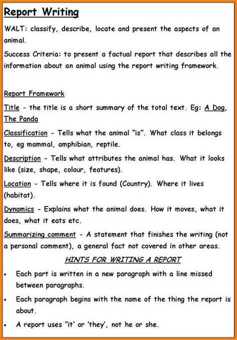 report writing examples  examples