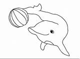 Dolphin Coloring Pages Color Printable Dolphins Template Print Colour Cute Drawing Animals Kids Book Sheets Ball Delfin Water Cartoon Craft sketch template