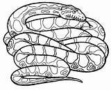 Anaconda Colouring Snakes Rattlesnake Anacondas Poisonous Coloringsky sketch template