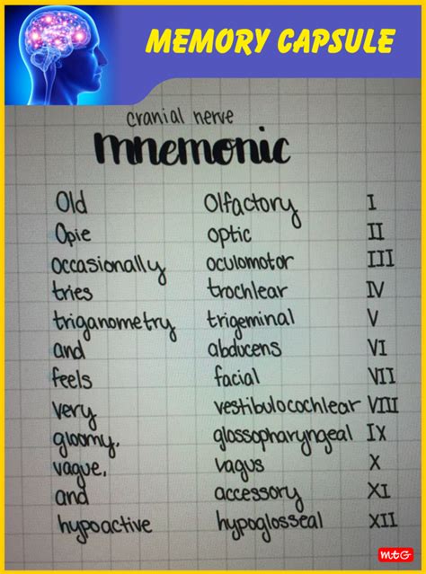 important   mnemonics  biology students pcmb blog