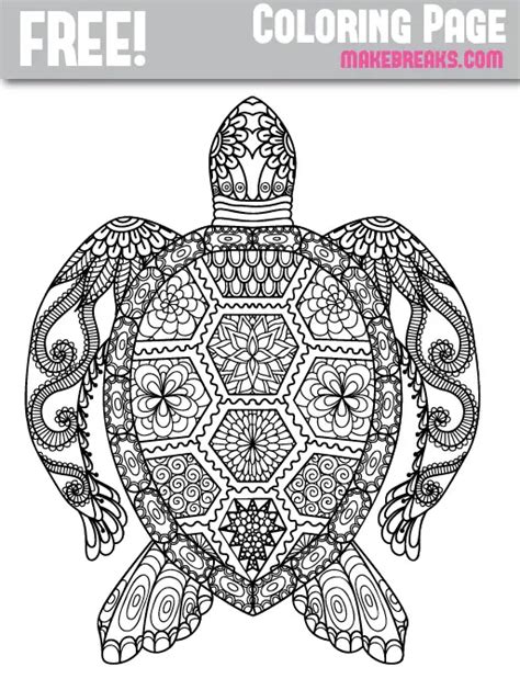 patterned turtle coloring page  breaks