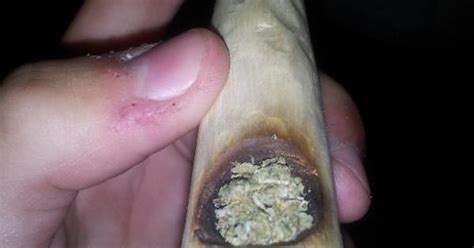 Eli The Wooden Pipe Imgur