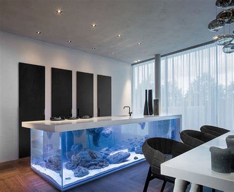 transform    home    fish tank